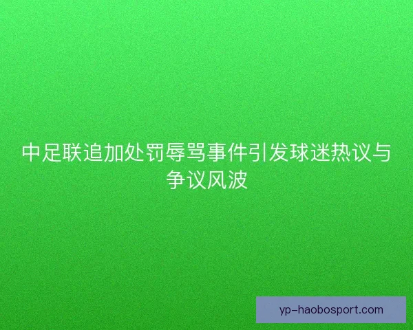 中足联追加处罚辱骂事件引发球迷热议与争议风波